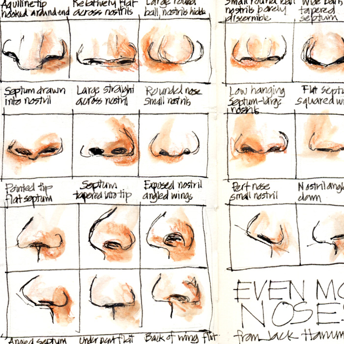 Everyday in May 06: Even more noses - Liz Steel : Liz Steel