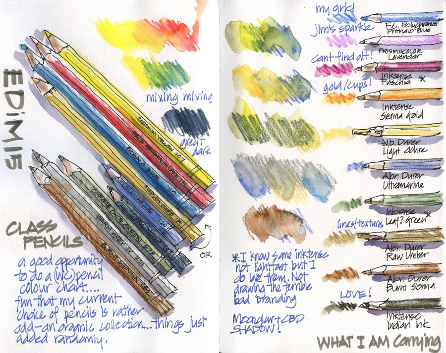 Two weeks of coloured pencil sketching - Liz Steel : Liz Steel