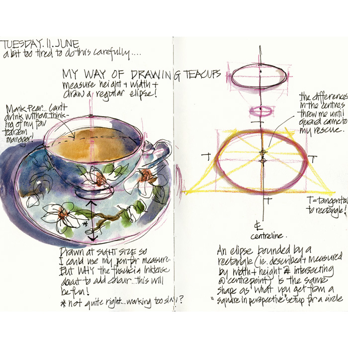 How To Draw Teacups And Other Ellipses Liz Steel Liz Steel