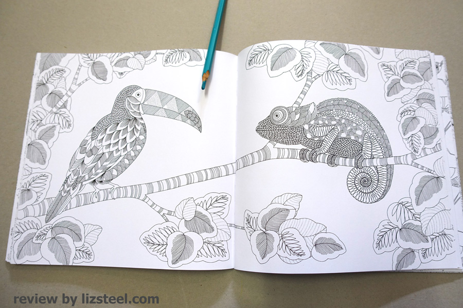 ANIMAL ADULT COLORING BOOK: AN AMAZING AND RELAXING COLORING ESCAPE INTO  THE ANIMAL KINGDOM
