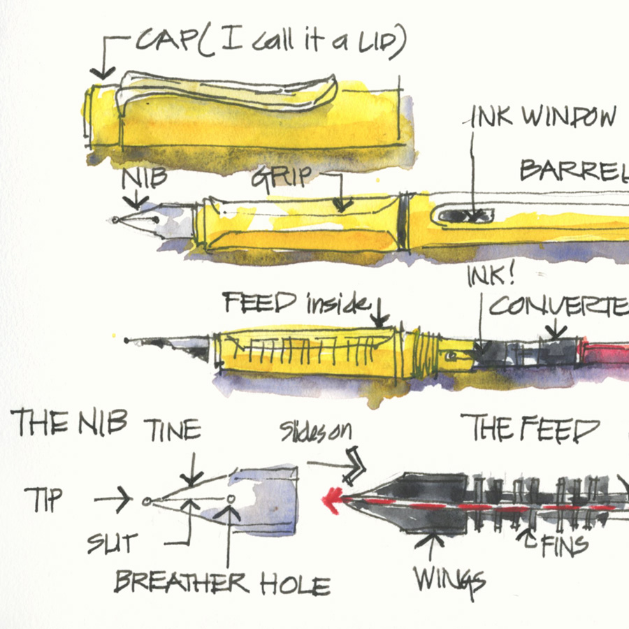 Fountain Pen Sketching Part 2: Why draw with a fountain pen? - Liz Steel :  Liz Steel