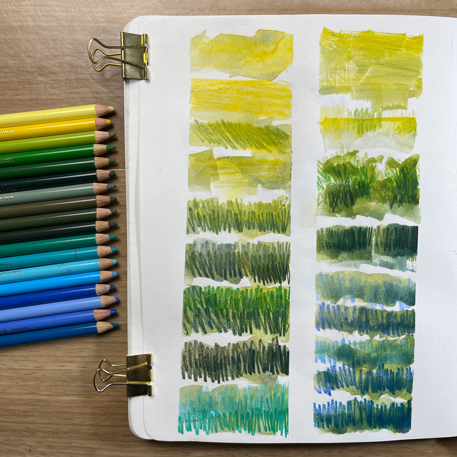 What coloured pencils do you use and why? - Liz Steel : Liz Steel