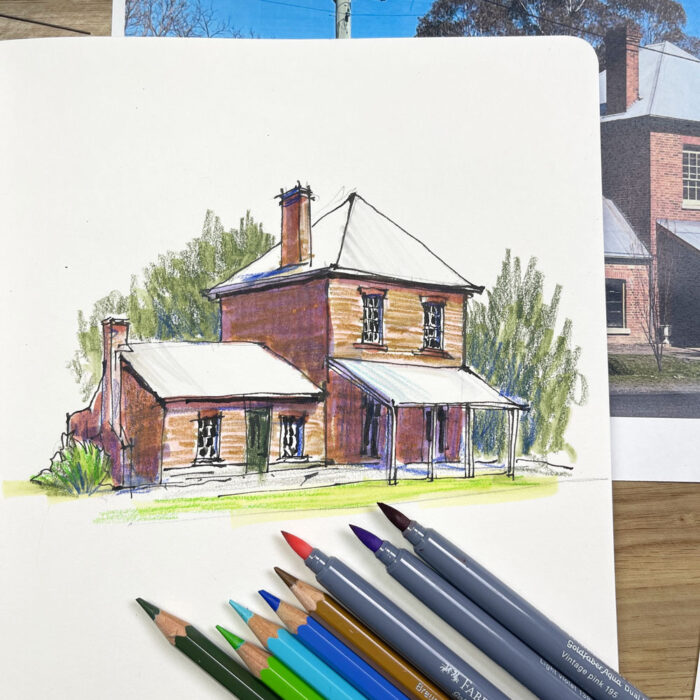 Two weeks of coloured pencil sketching - Liz Steel : Liz Steel