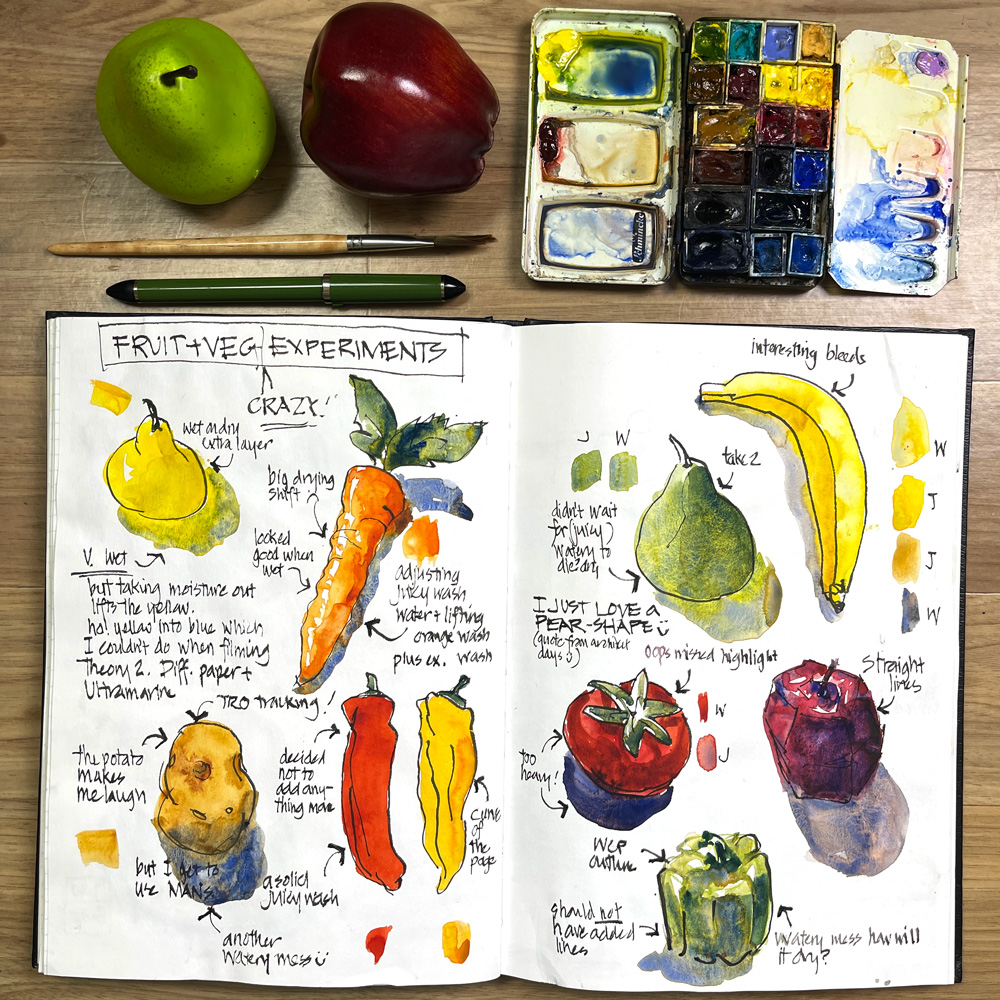 Super fun watercolour Liz sketching - veg Liz fruit Steel experiments : Steel and